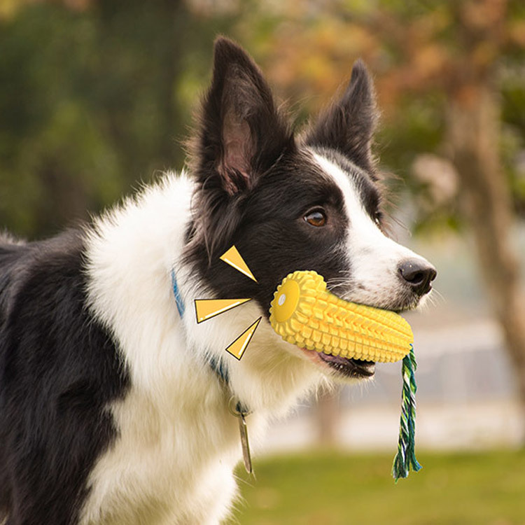 Popular Durable Rubber Corn Do - Corn Dog Stick ulasan dan harga